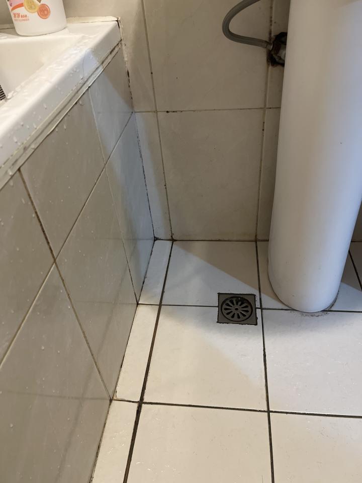 浴室清潔案件圖片