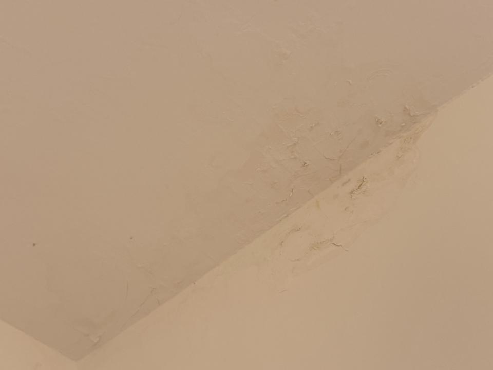 抓漏案件圖片