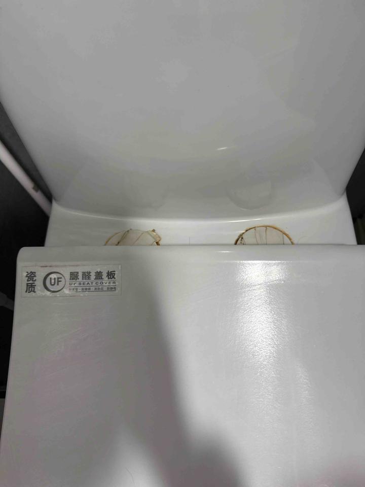 馬桶裝修案件圖片