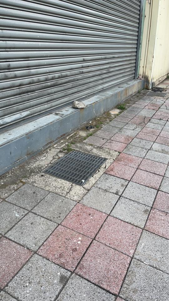 鐵工案件圖片
