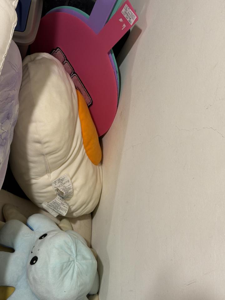搬家案件圖片