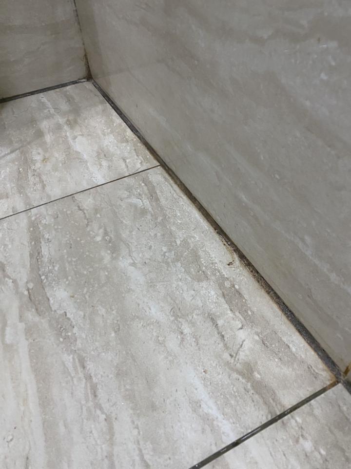 矽利康工程案件圖片