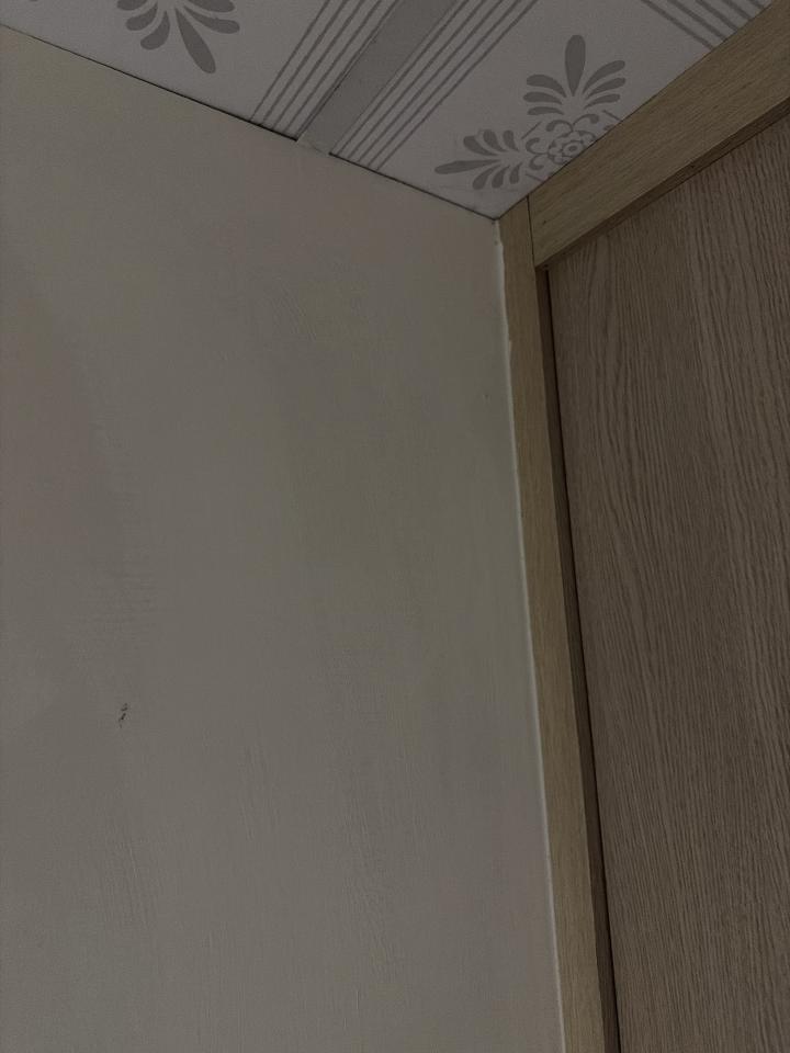 拆除工程案件圖片