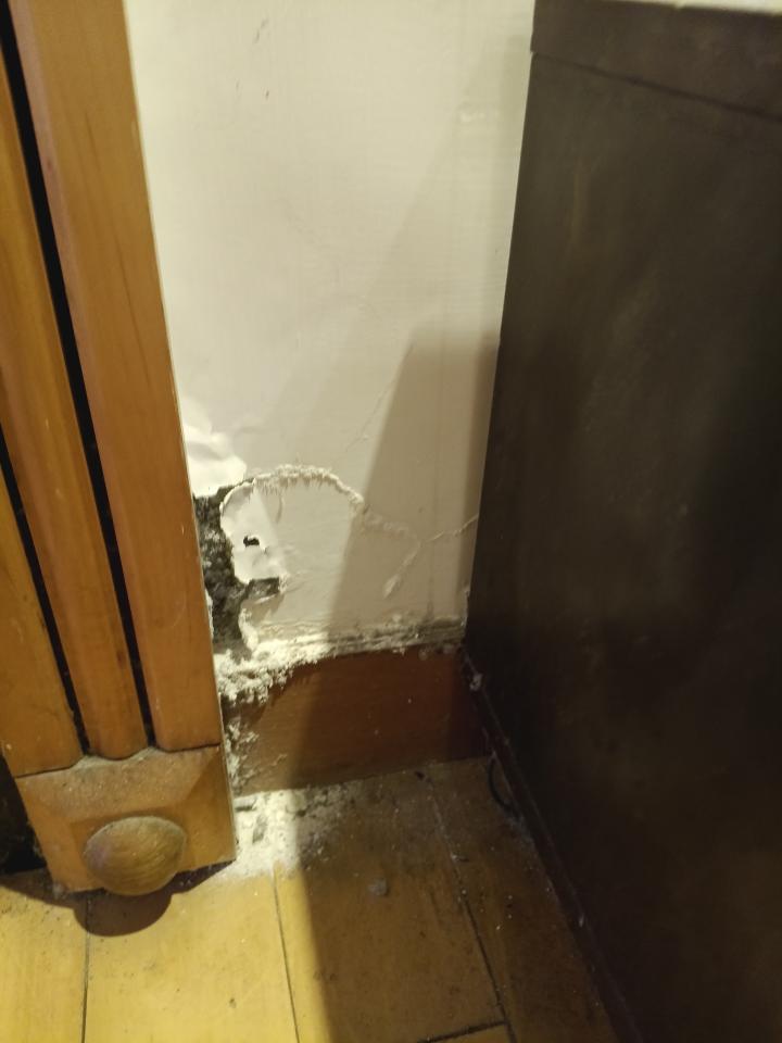 油漆工程案件圖片