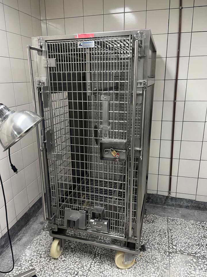 載貨運輸服務案件圖片