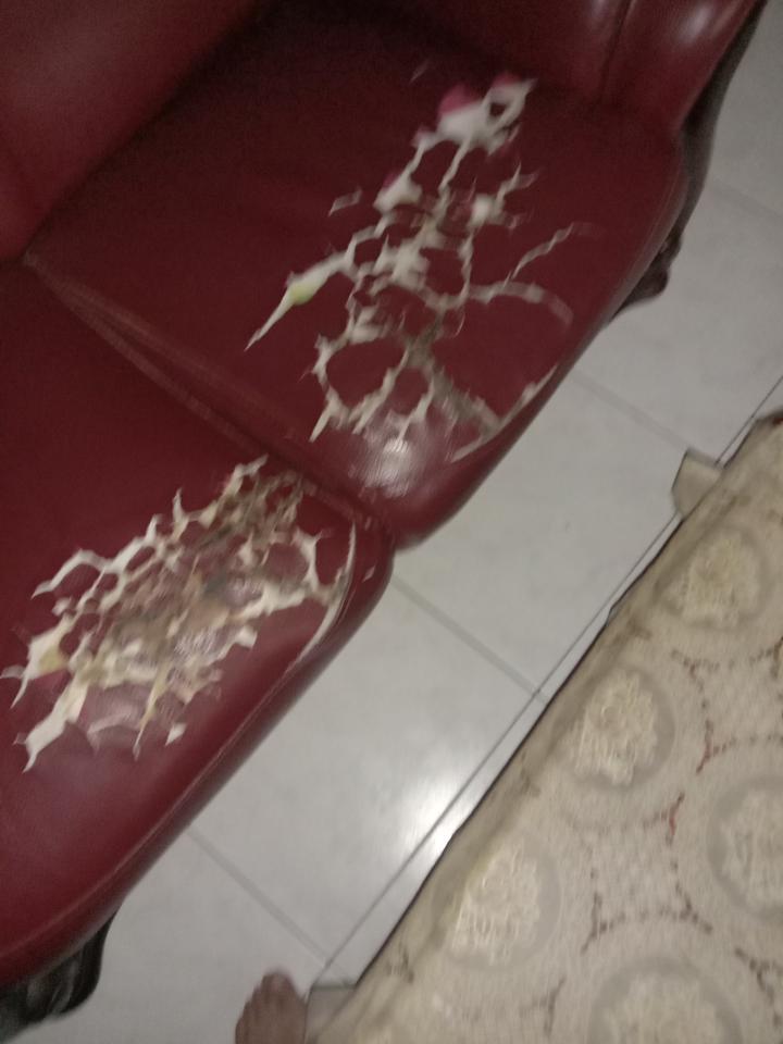 沙發修理案件圖片
