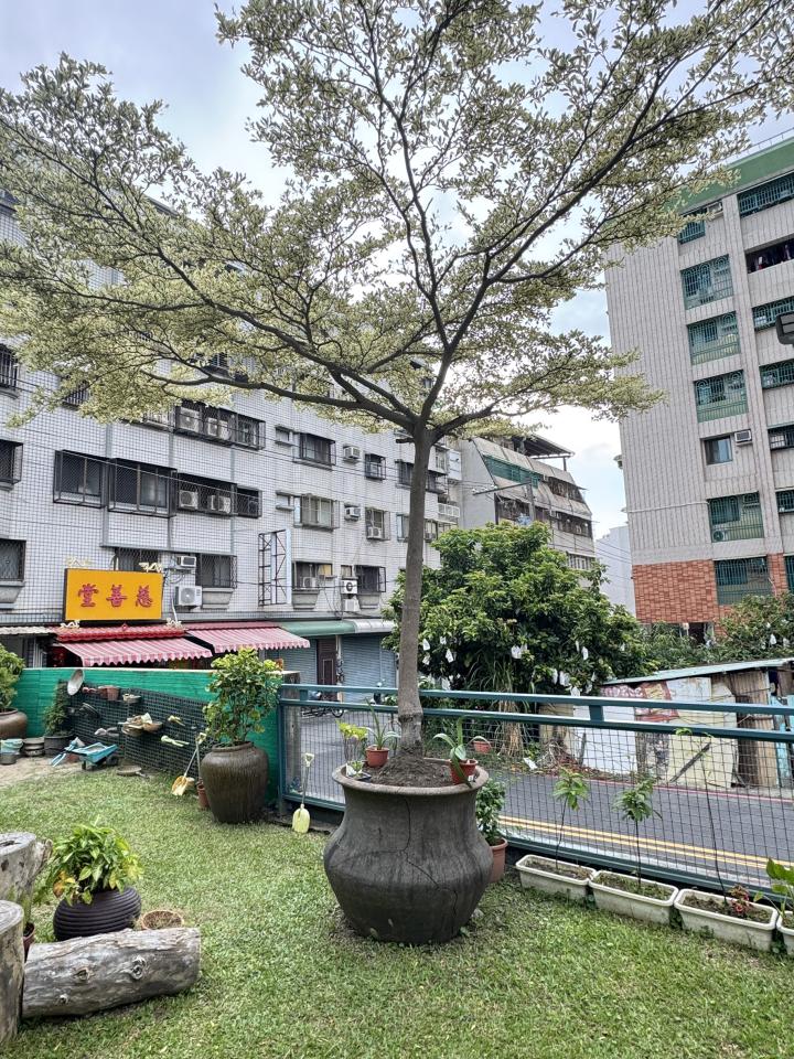 吊車公司案件圖片