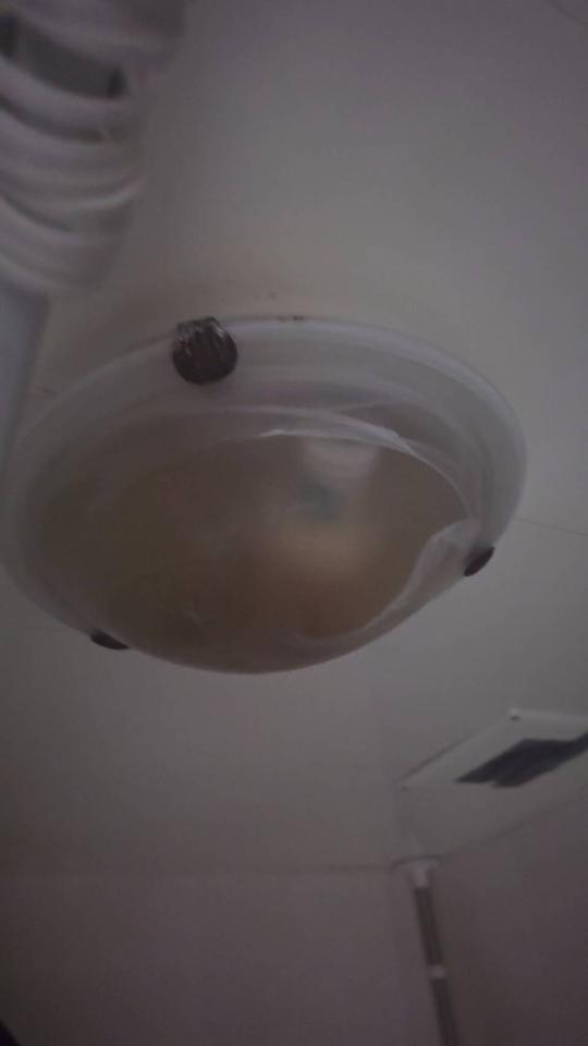 水電行案件圖片
