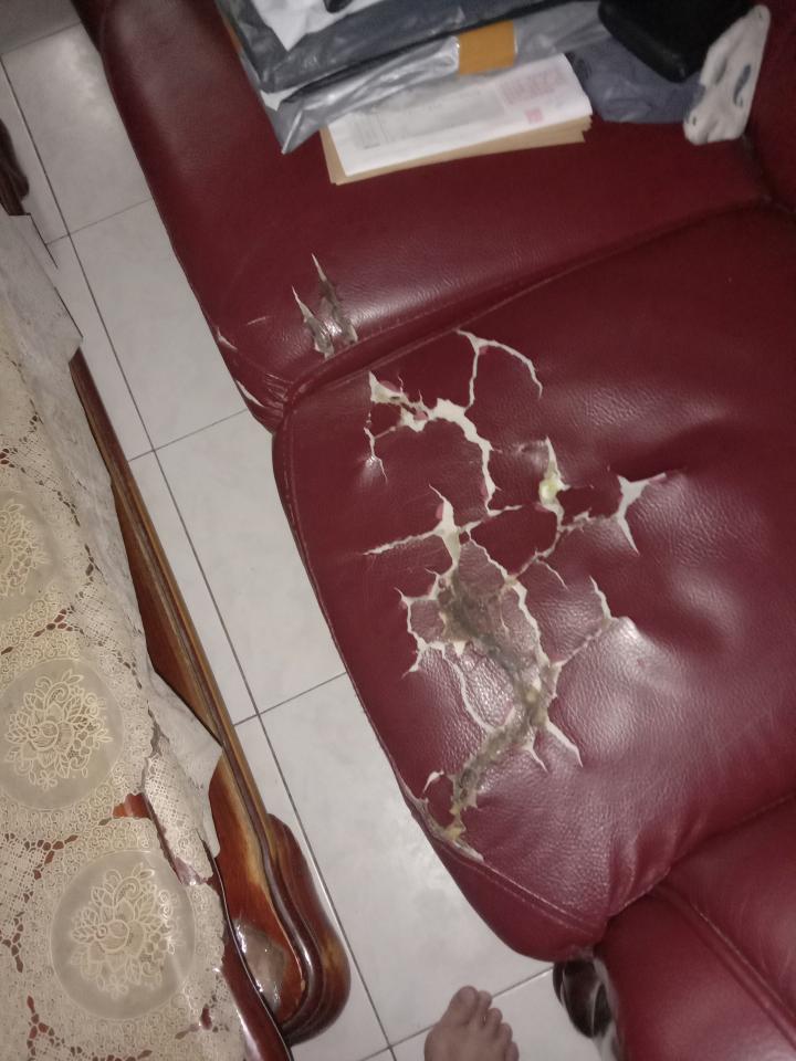 沙發修理案件圖片