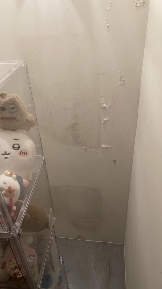 抓漏案件圖片