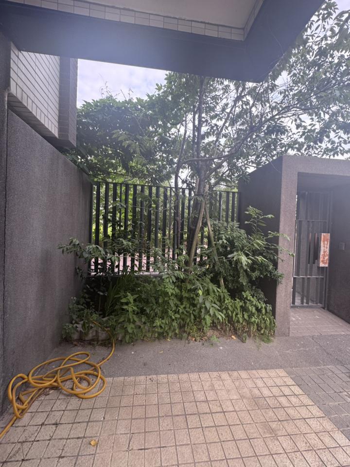 園藝維護案件圖片