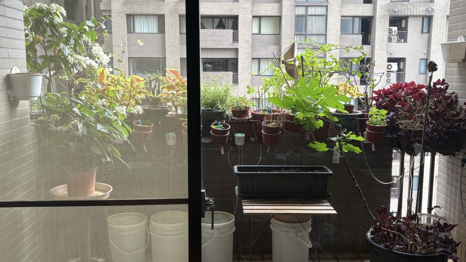 花園自動灑水系統案件圖片