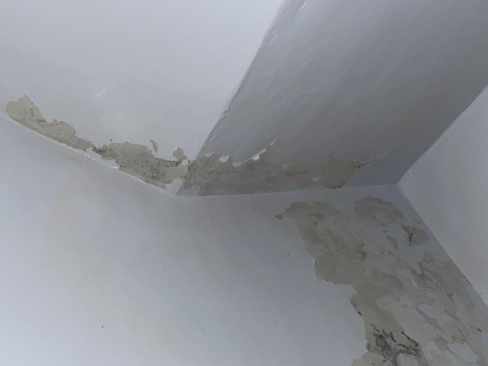 抓漏案件圖片