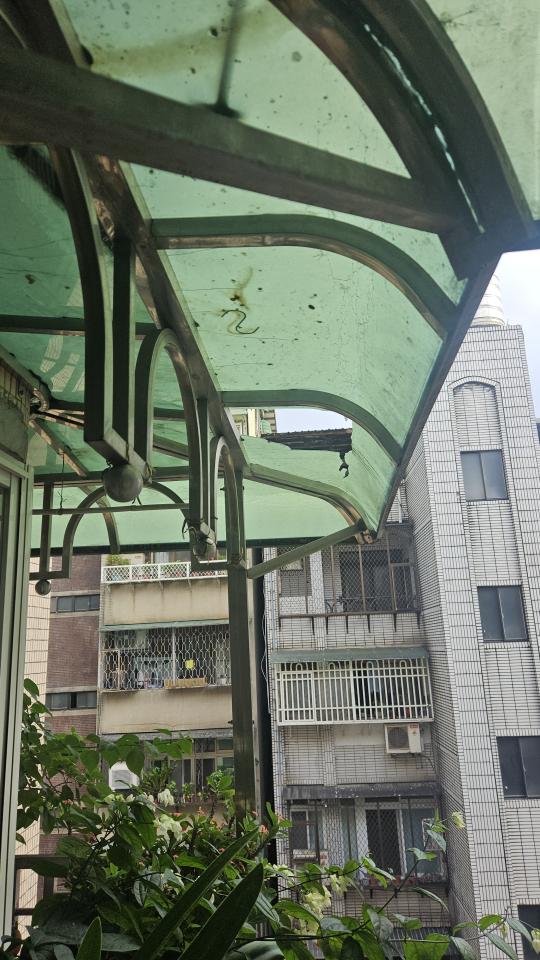 採光罩案件圖片