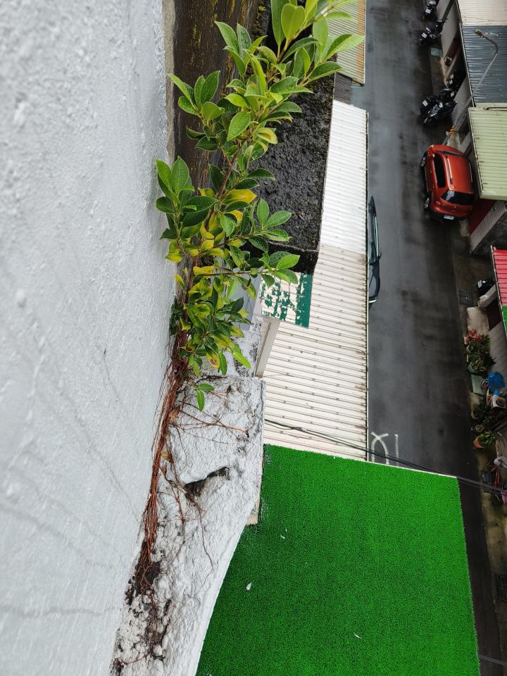 漏水處理案件圖片