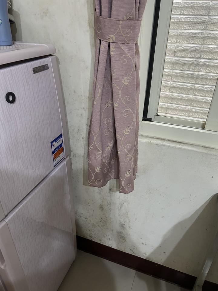除霉案件圖片