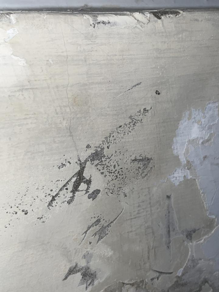 抓漏案件圖片