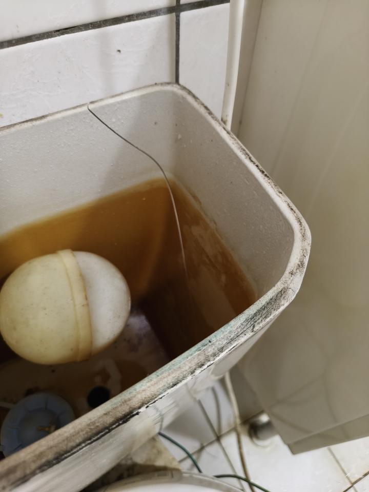 馬桶裝修案件圖片