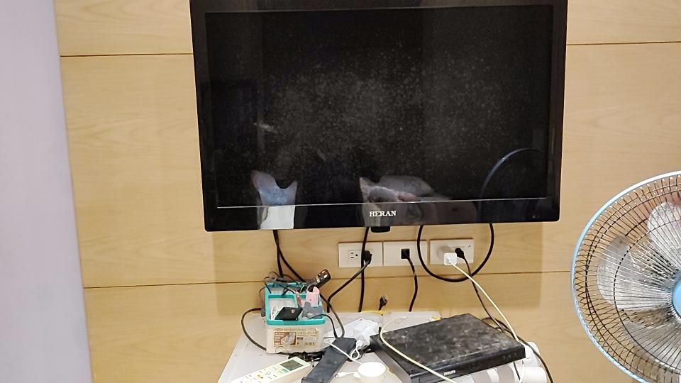 大型垃圾回收案件圖片