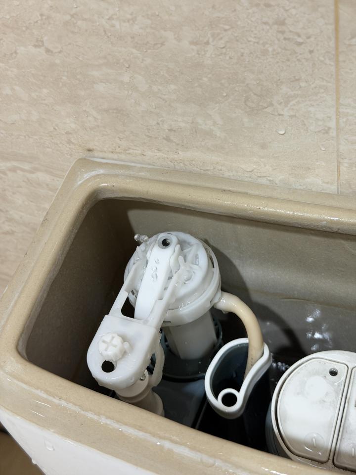 馬桶裝修案件圖片