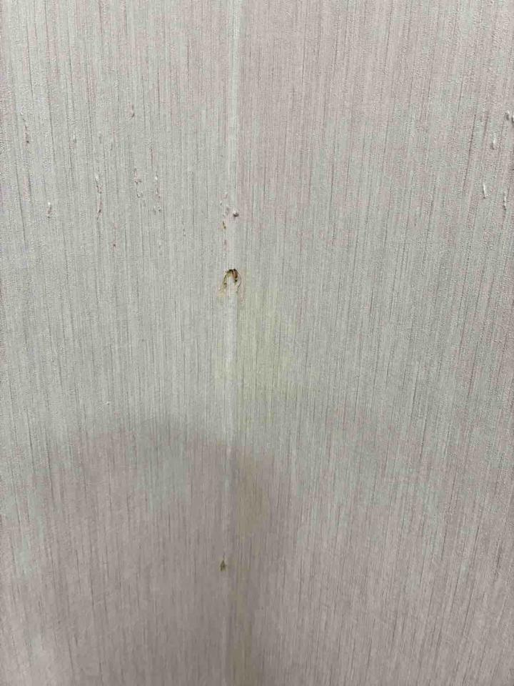 壁紙施工案件圖片
