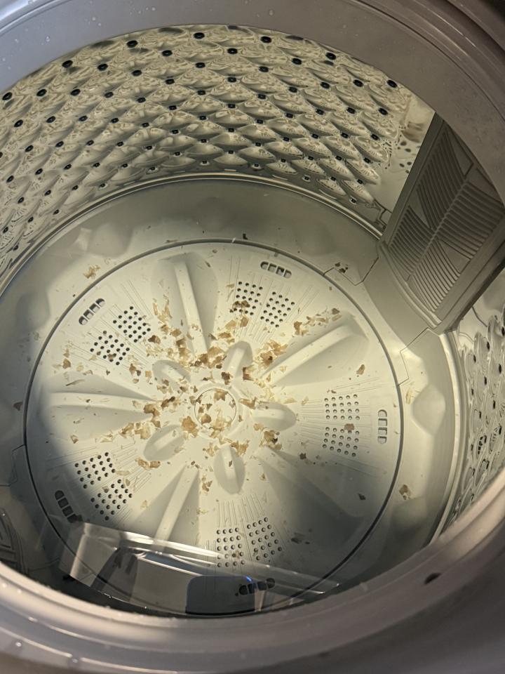 洗衣機清洗案件圖片