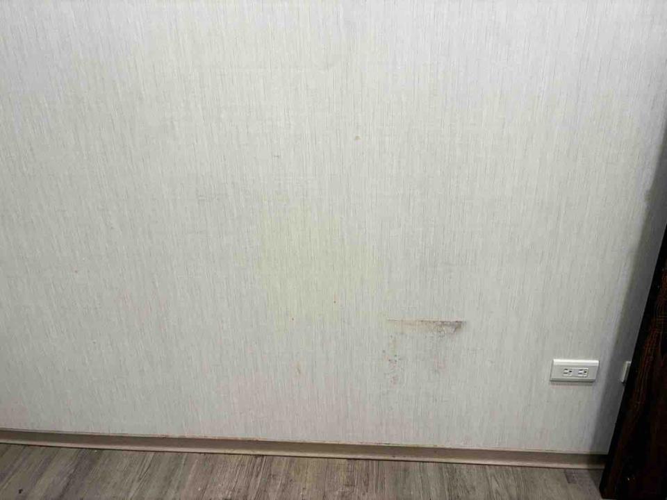壁紙施工案件圖片