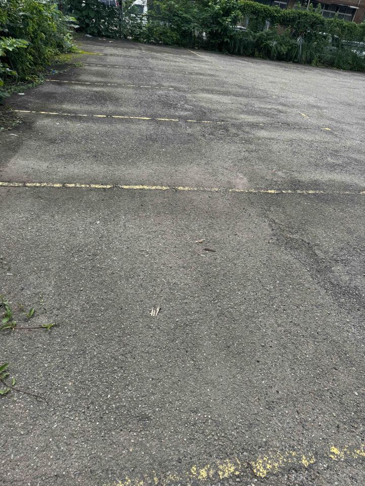 瀝青工程案件圖片