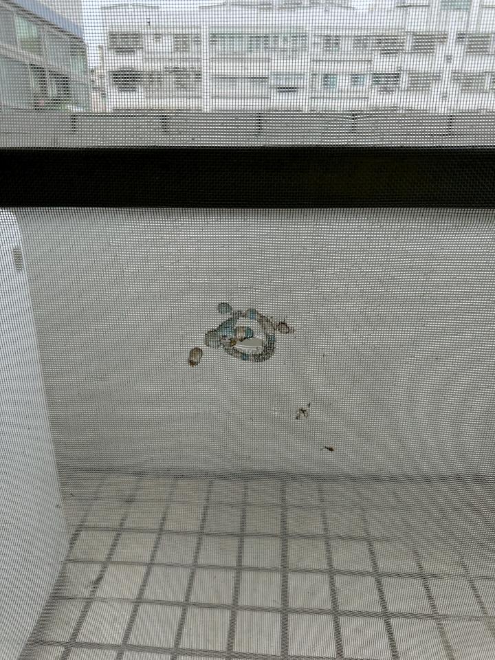 窗戶維修案件圖片