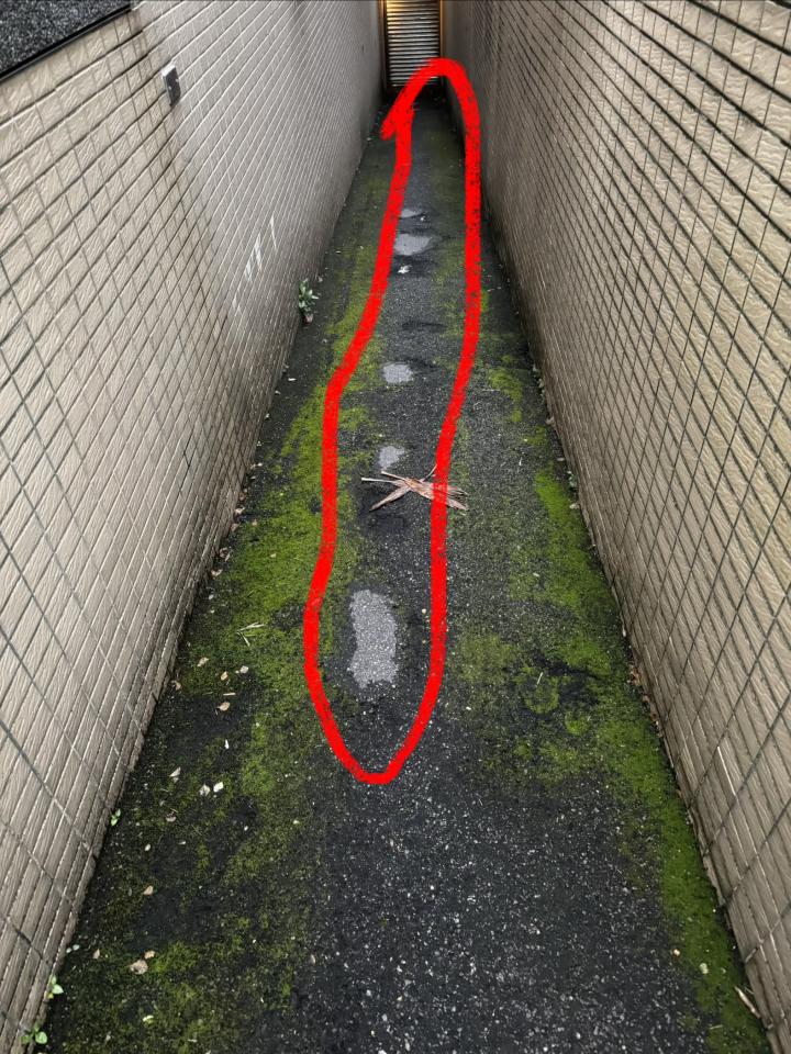 瀝青工程案件圖片