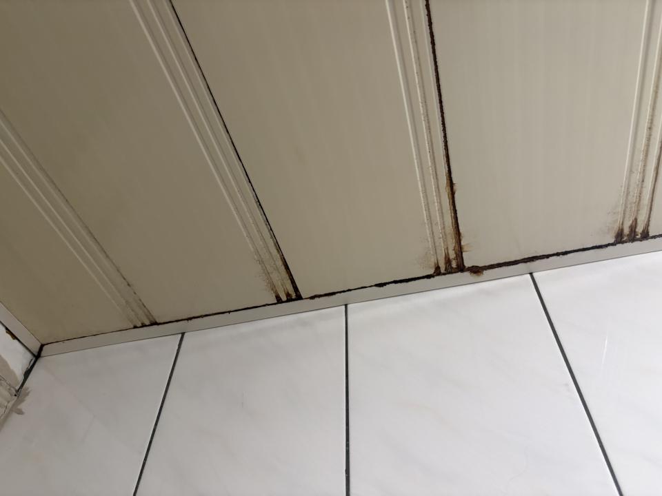 泥作/水泥施工案件圖片