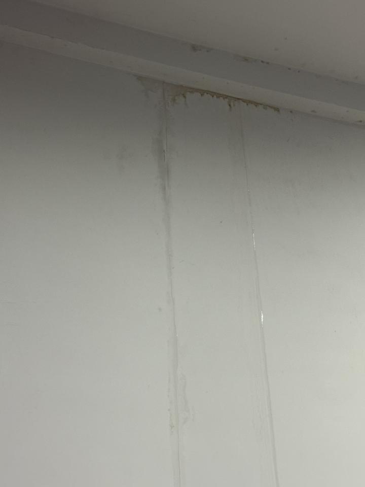 漏水處理案件圖片