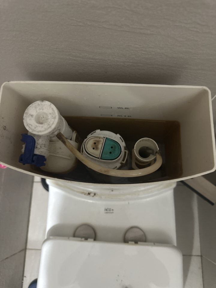 馬桶裝修案件圖片