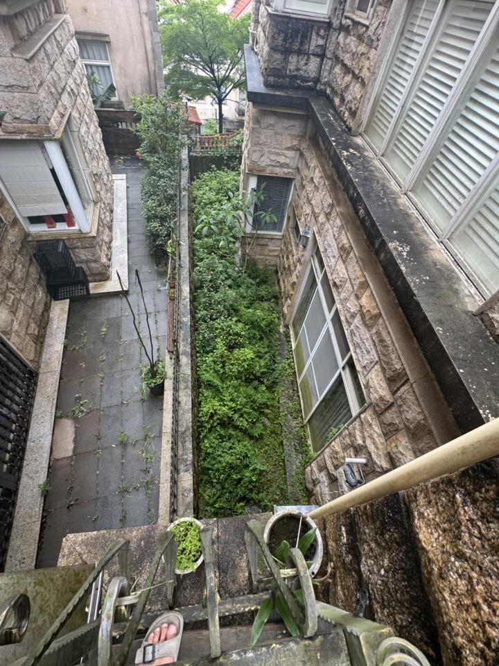 園藝維護案件圖片