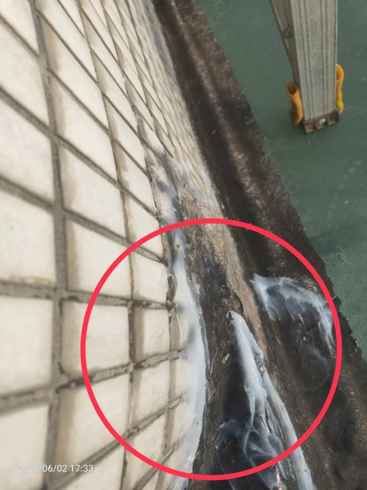 屋頂防水案件圖片