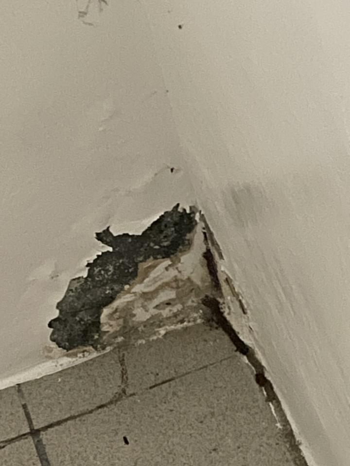 漏水處理案件圖片