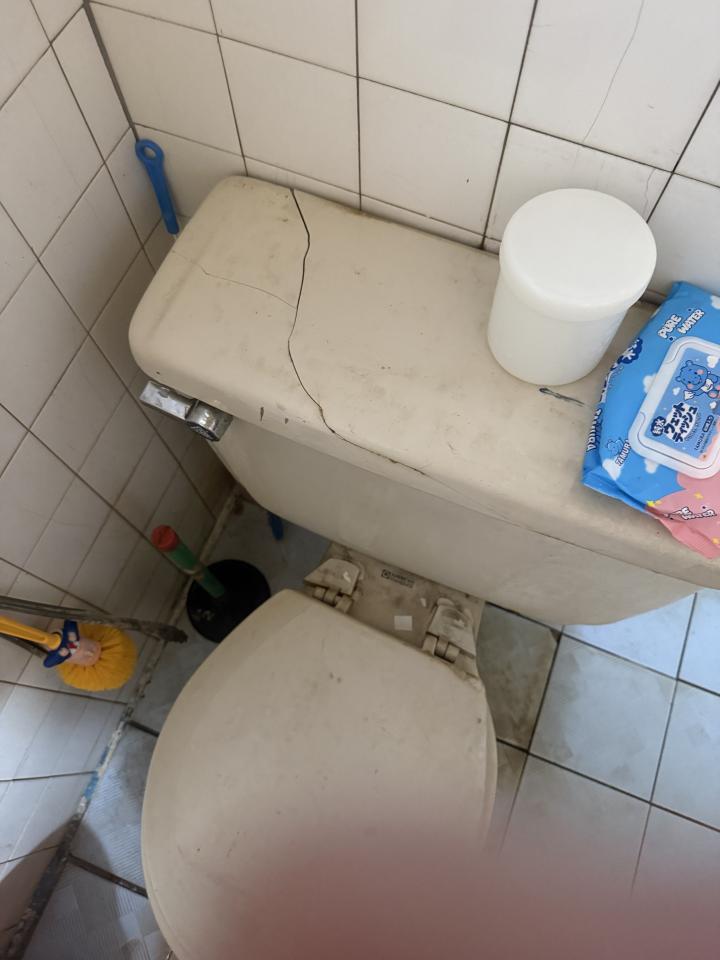 馬桶裝修案件圖片