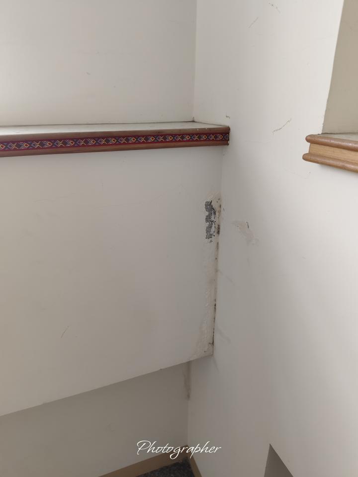 屋頂防水案件圖片