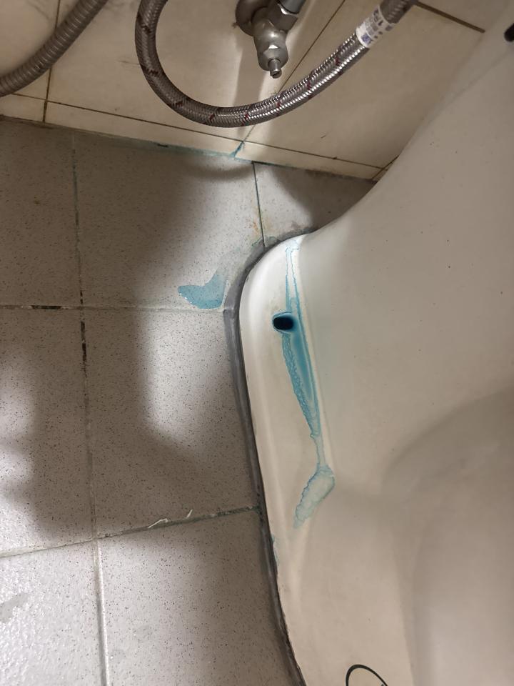 馬桶裝修案件圖片