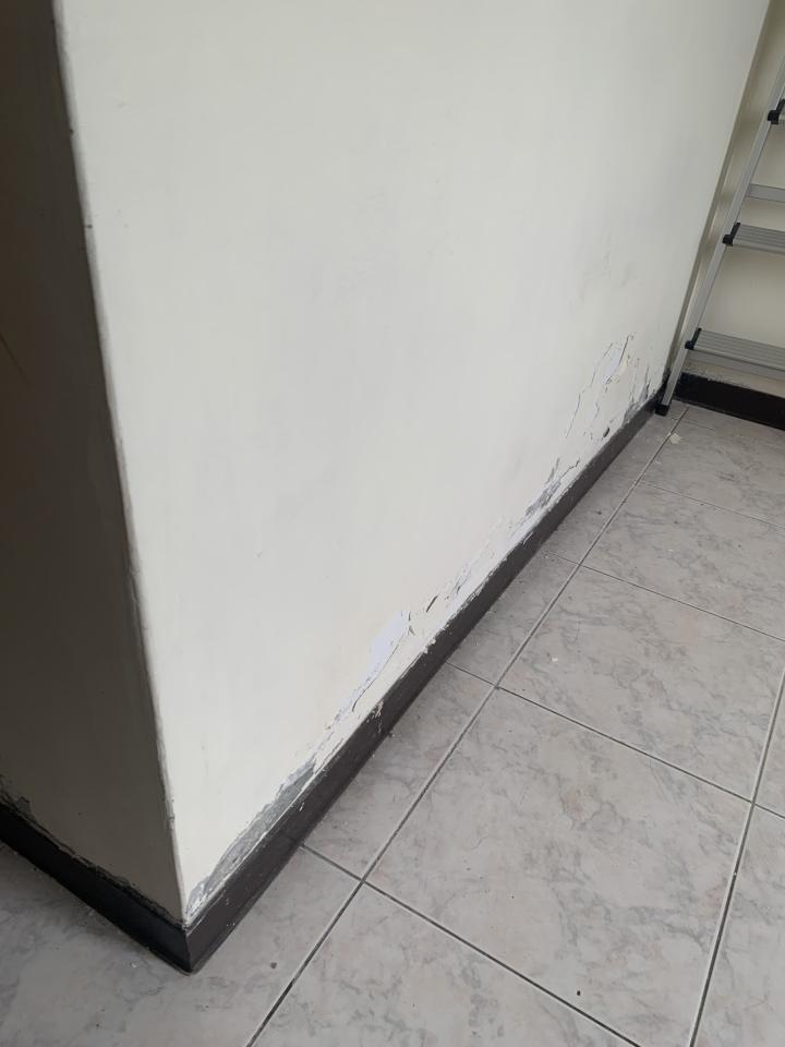壁癌處理案件圖片