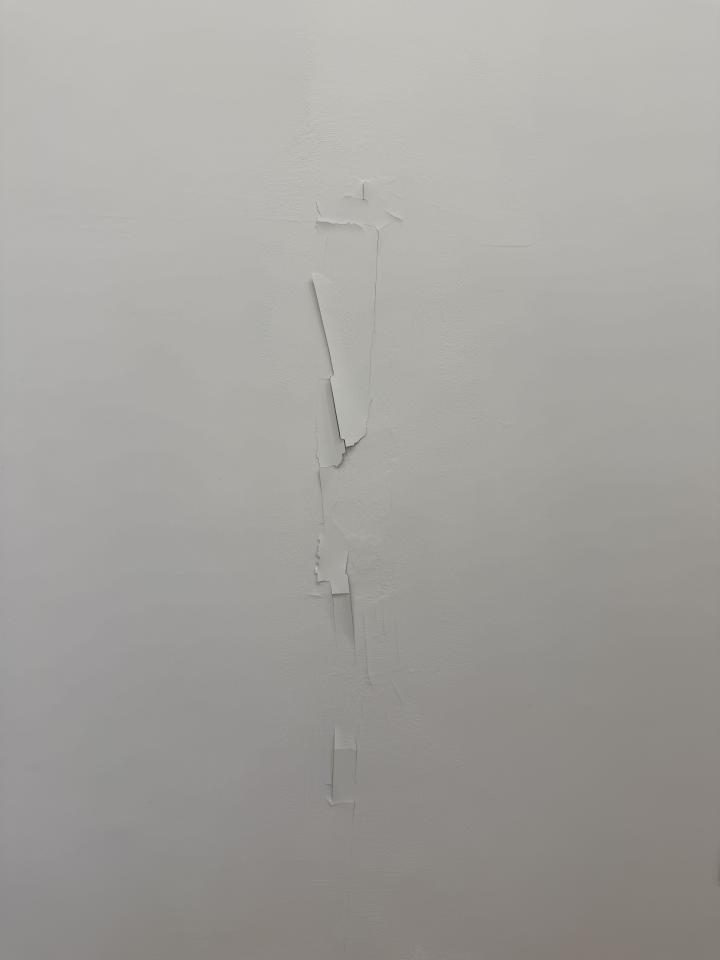 居家修繕案件圖片