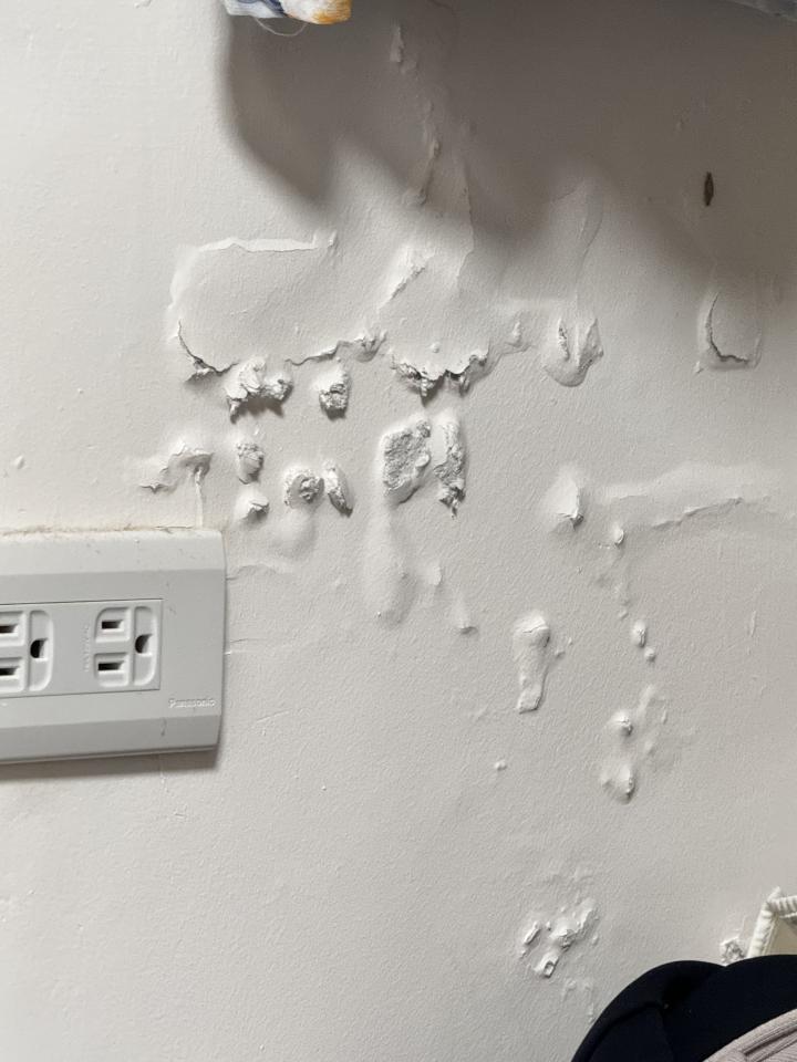 抓漏案件圖片