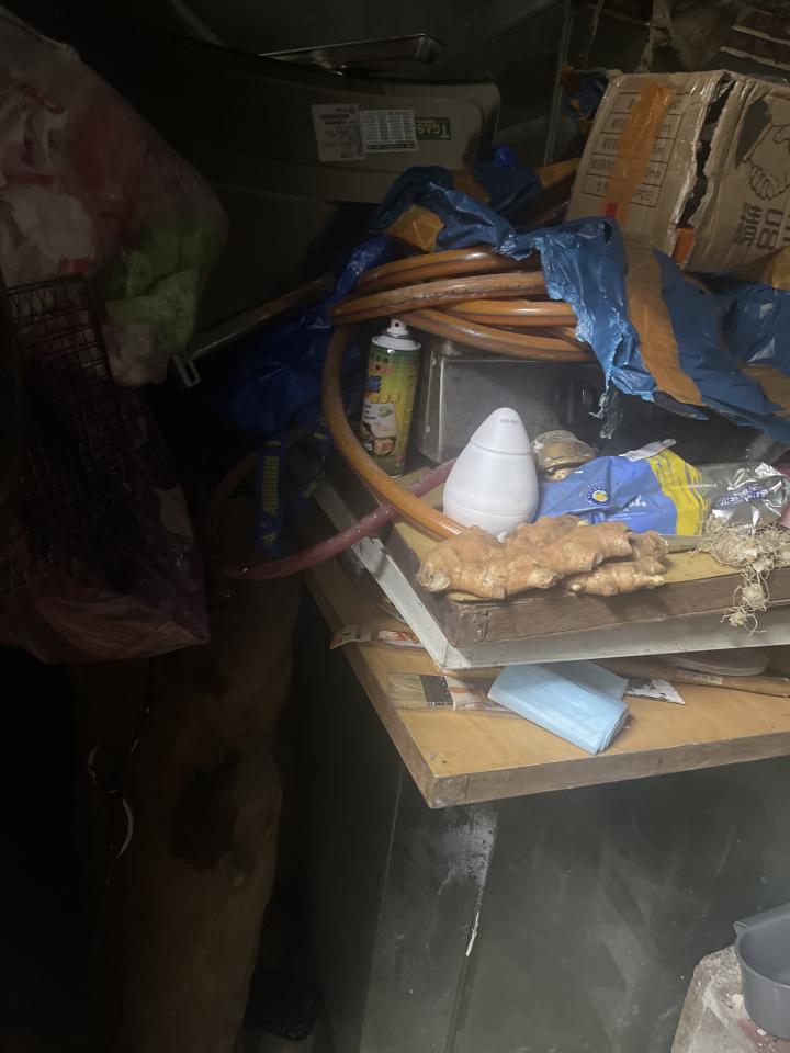 大型垃圾回收案件圖片