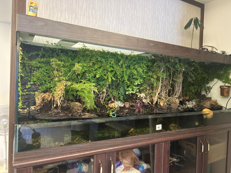 魚缸設計案件圖片