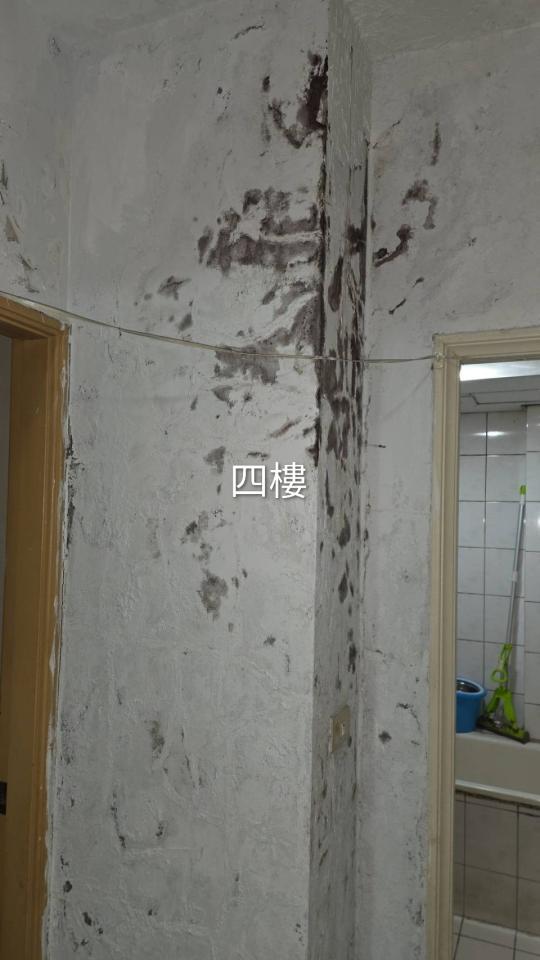 抓漏案件圖片