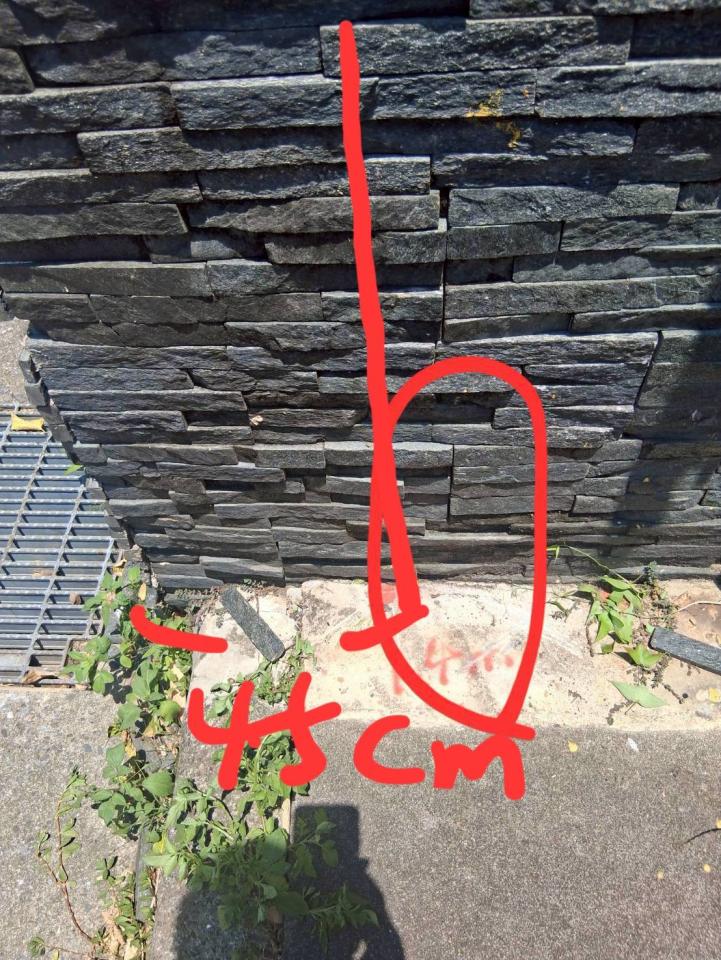 拆除工程案件圖片