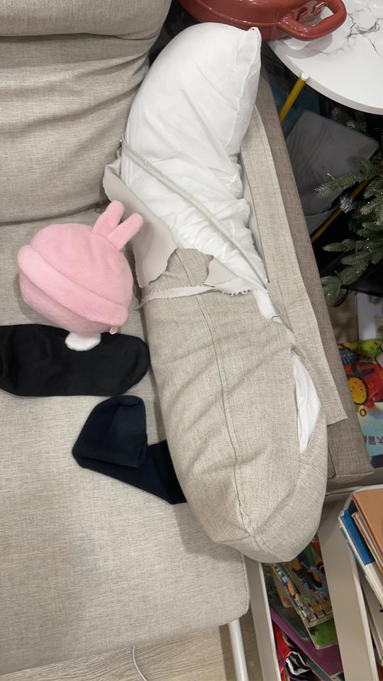沙發修理案件圖片