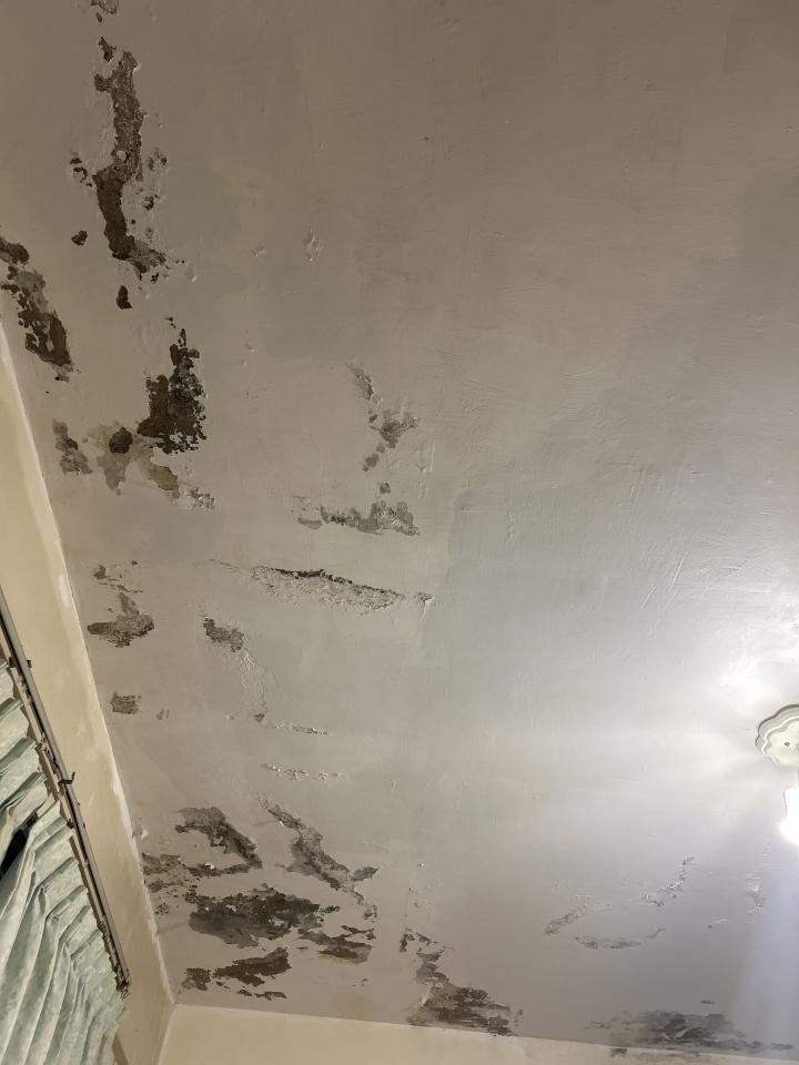 油漆工程案件圖片