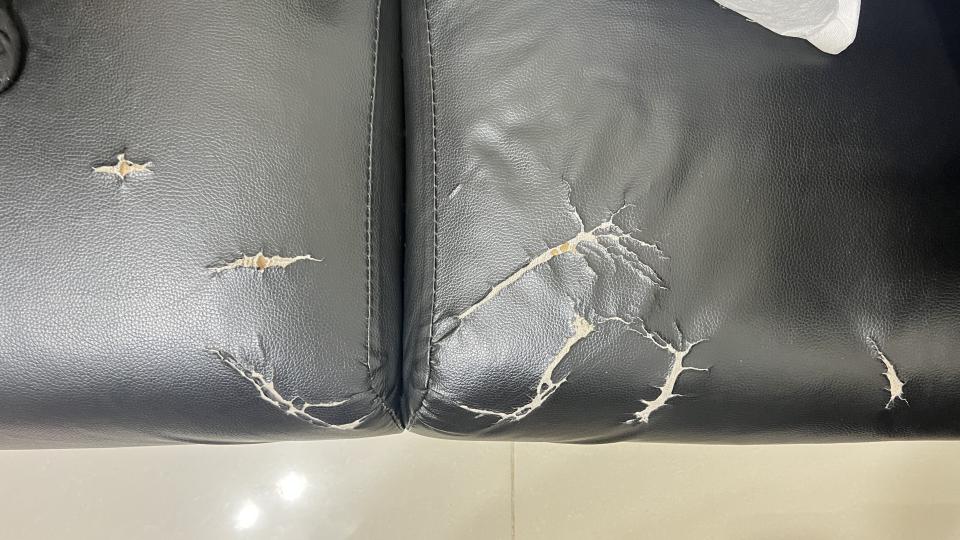 沙發修理案件圖片