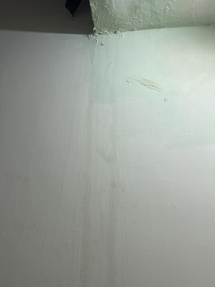 抓漏案件圖片